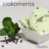 Mint Choc Chip Final