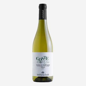 VERDICCHIO DEI CASTELLI DI JESI DOC CLASSICO COSTE DEL MOLINO