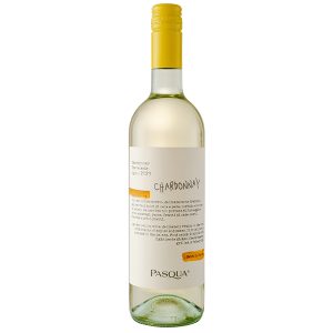 CHARDONNAY TREVENEZIE IGT