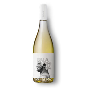 FAVAUGNE FALANGHINA PUGLIA IGP