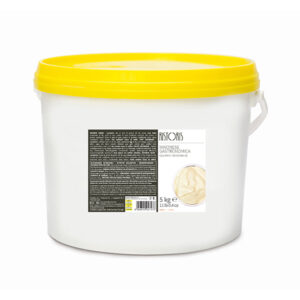 GOURMET MAYONNAISE RISTORIS